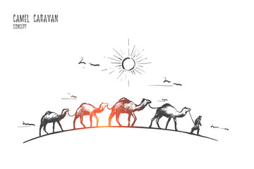 Camel caravan concept. Hand drawn camels walk through the desert. Camel caravan going through the sand dunes isolated vector illustration.