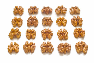 Several rows of walnuts