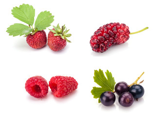 Collection of berries on white