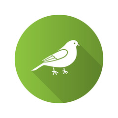 Canary flat design long shadow glyph icon