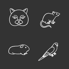 Pets chalk icons set
