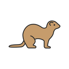 Ferret color icon