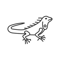 Iguana linear icon