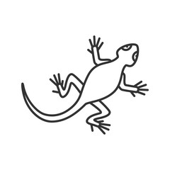 Lizard linear icon