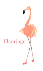 Pink flamingo vector illustration isolated on white background.