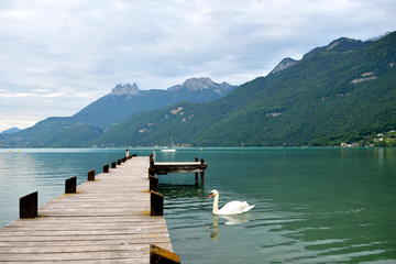 Fototapeta premium Cygne près d'un ponton du lac d'Annecy