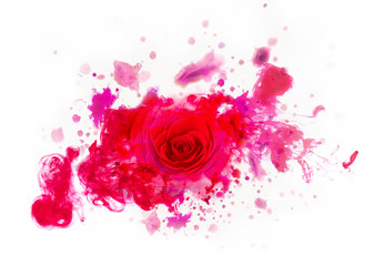 Beautiful red real rose from watercolors blots. © Dmitrii Kotin
