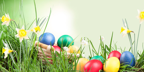 Poster, spring snowflake, narcissus, eggs  in the grass on a natrue background