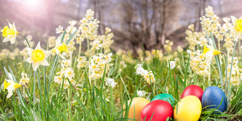 Fototapeta na wymiar Poster, spring snowflake, narcissus, eggs in the grass on a natrue background