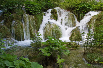 Landscape in Plitvice Lakes National Park in Croatia
