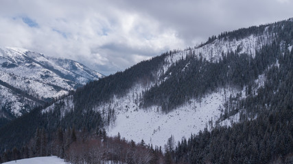 ski resort Jasna Slovakia mountain aerial drone top view