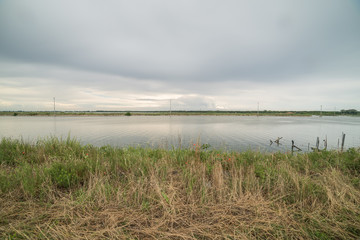 Fototapeta na wymiar delta del Po primavera