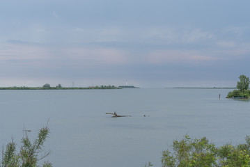 delta del Po primavera