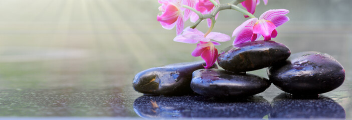 Obraz na płótnie Canvas Black spa stones and pink orchid flowers .