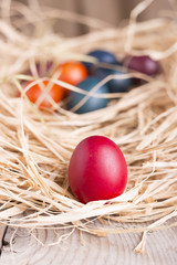 Colorful eastern eggs. Copy space. Selective focus