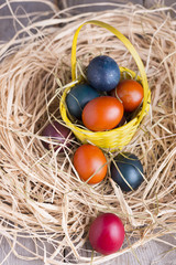 Colorful eastern eggs. Copy space. Selective focus