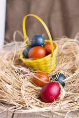 Colorful eastern eggs. Copy space. Selective focus