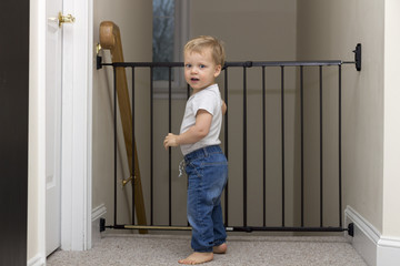 Cute toddler approaching safety gate of stairs at home