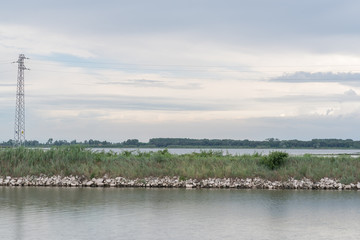 delta del Po primavera