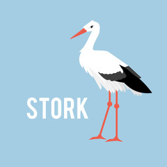 Stork isolated on white background, standing stork in flat style.