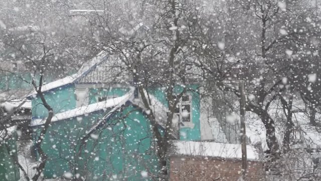 Blizzard, snow, large flakes falling on an old house in the province. Blurred video