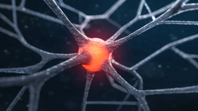 3d Synapse