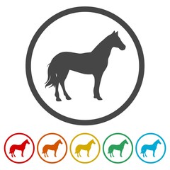 Horse silhouette - Vector - Illustration, 6 Colors Included