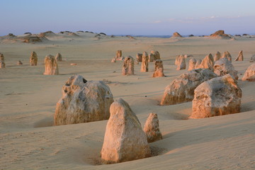 Pinnacles desert at sunset time. Nambung national park. Cervantes. Western Australia