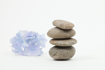 Set of blue flower on pebble
