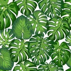 Papier Peint photo Monstera pattern with tropical leaves