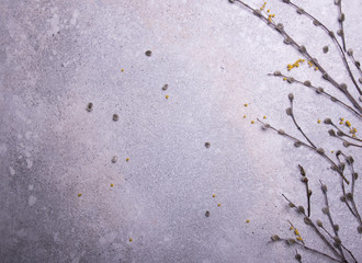 grey background with willow vectors