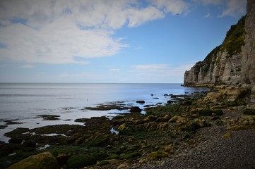 Fototapeta na wymiar cliffs on the beach