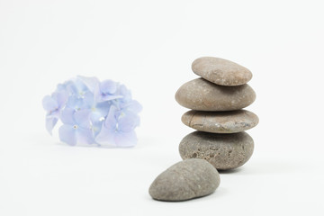 Fototapeta na wymiar Set of blue flower on pebble