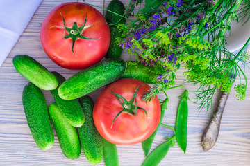 Fresh tomato, cucumber and bunch of spices on wooden table