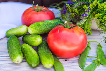 Fresh tomato, cucumber and bunch of spices on wooden table