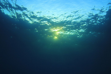Underwater background. Sunlight on ocean surface