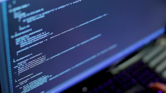 programmer checks the program code