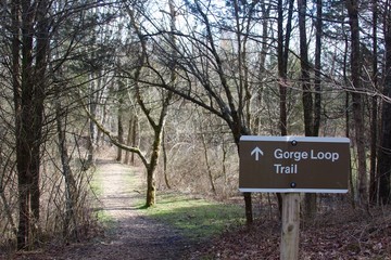 The brown trail sign pointing the way to the trail.