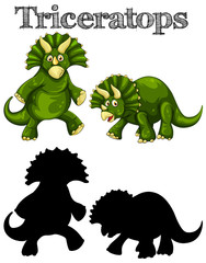 Triceratops in two actions with silhouette