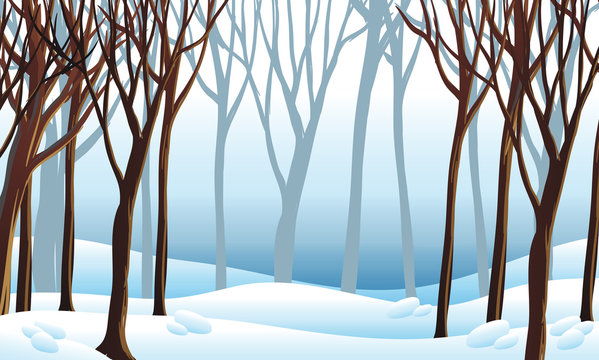 Background scene with snow in forest
