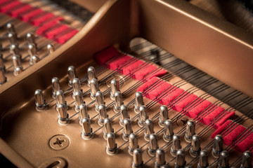 Der Stimmstock und die Stimmwirbel eines Klaviers