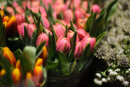 Beautiful bouquet of pink tulips on focus