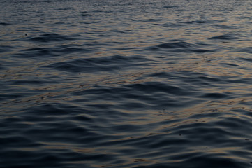 Sea ripples