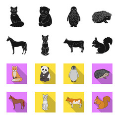 Horse, cow, cat, squirrel and other kinds of animals.Animals set collection icons in black,flet style vector symbol stock illustration web. © pandavector