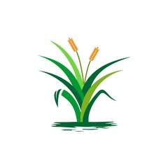 icon logo green grass vector symbol design