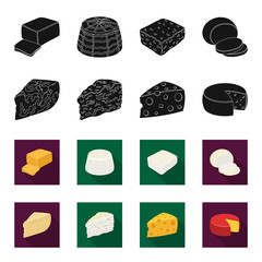 Parmesan, roquefort, maasdam, gauda.Different types of cheese set collection icons in black,flet style vector symbol stock illustration web. © pandavector