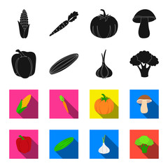 Red sweet pepper, green cucumber, garlic, cabbage. Vegetables set collection icons in black,flet style vector symbol stock illustration web. © pandavector