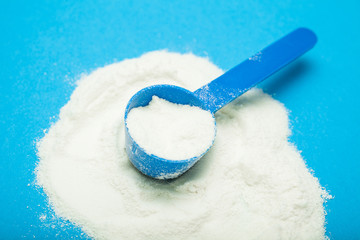 Close-up of a baby milk powder in a blue measuring spoon. Blue background.