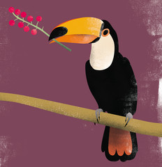tropical toucan 