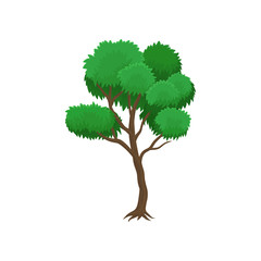 Summer tree vector Illustration on a white background